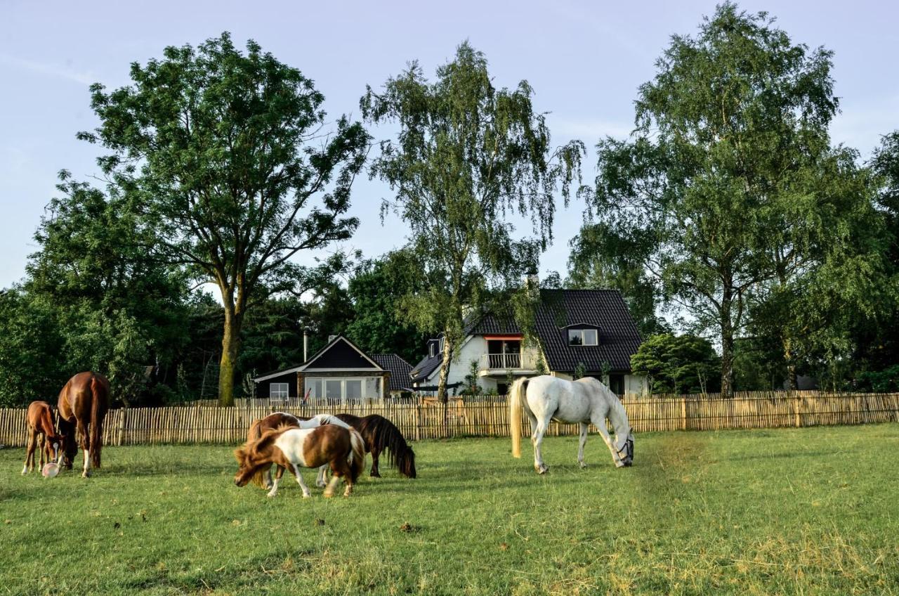 Bed & Breakfast De Zandhoef Eersel Esterno foto